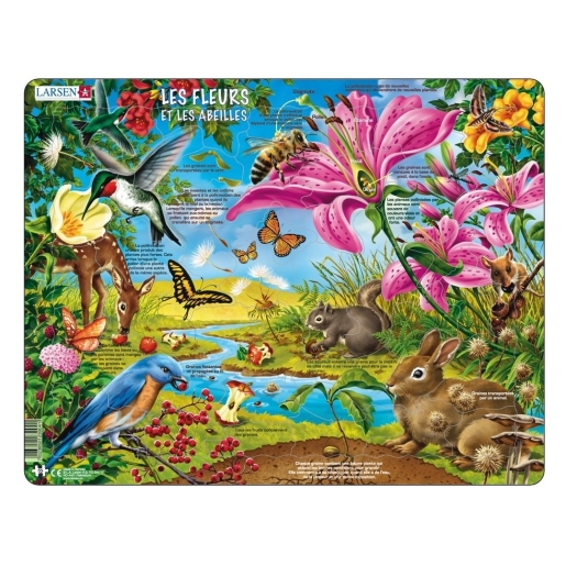 Puzzle Comment poussent les plantes 55PCS